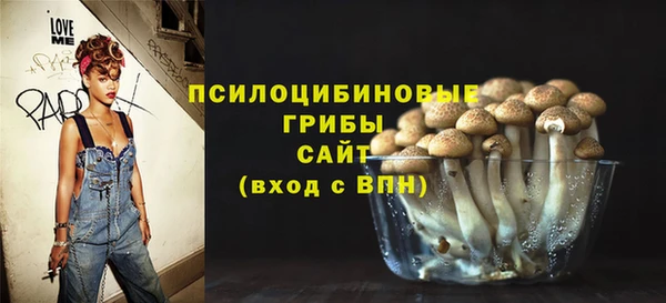 МДПВ Балахна