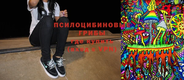 стаф Баксан